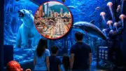 Mar en Bogotá: realidad virtual y juegos para conocer los océanos