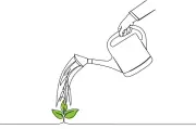 Mejor horario para regar plantas: mañana, tarde o noche