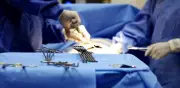 Más de 4.100 pacientes esperan un trasplante en Colombia: cifras actuales