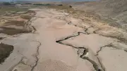 OMM alerta: 80% de probabilidad de El Niño entre junio y agosto