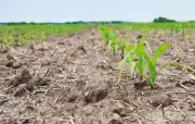 ONU pide fondos extra para mitigar efectos de El Niño en 22 países