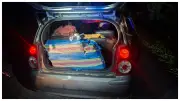 Persecución en el Huila: incautan 200 kilos de marihuana y capturan a dos personas