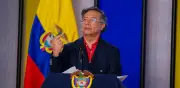 Petro: cultivos de coca bajarían a 253.000 hectáreas en 2026