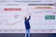 Petro defiende su estrategia antidrogas: cultivos de coca caen en últimos reportes