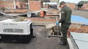 Rescatan cuatro perros y capturan a un hombre por maltrato animal en el Valle