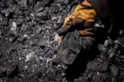 Tragedia en Sutatausa: confirman muerte de siete mineros en Cundinamarca