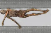 Ötzi: bacterias antiguas y modernas coexisten en la momia de 5.300 años