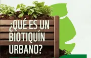 WWF Colombia lanza guía gratuita Biotiquín Urbano con 15 plantas medicinales